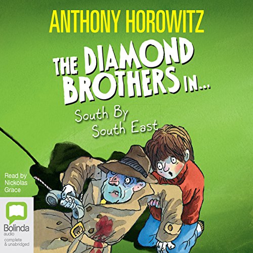 South by South East (Diamond Brothers Story)