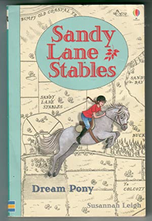 Sandy Lane Stable: Dream Pony