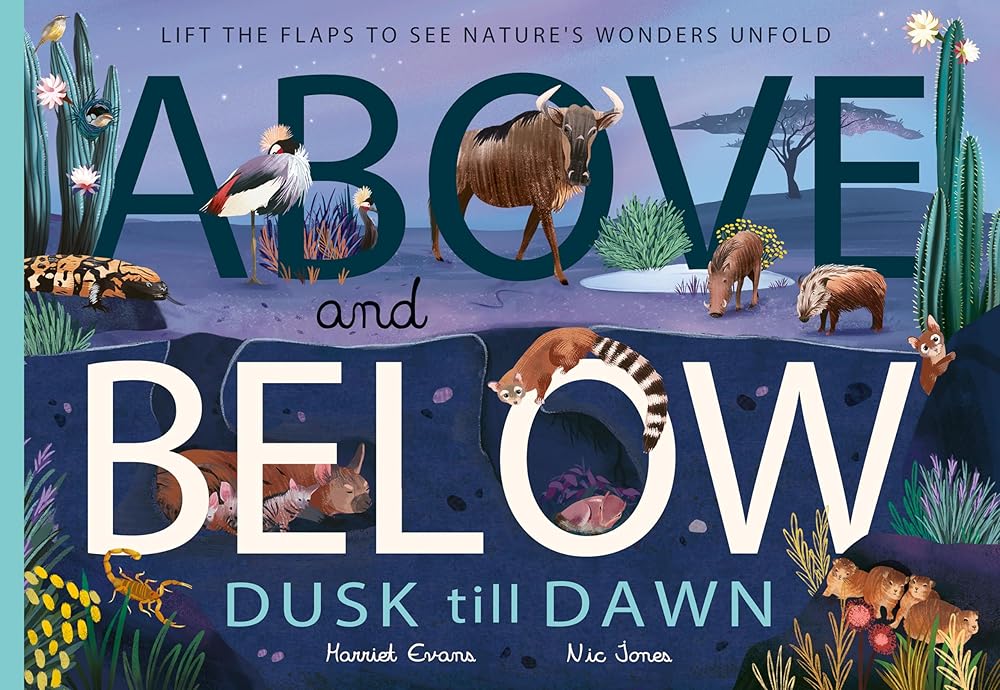 Above and Below: Dusk till Dawn: Lift the flaps to see nature's wonders unfold cover image