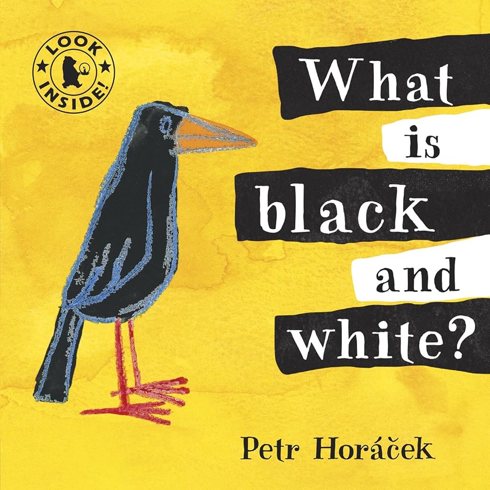 What Is Black and White? cover image