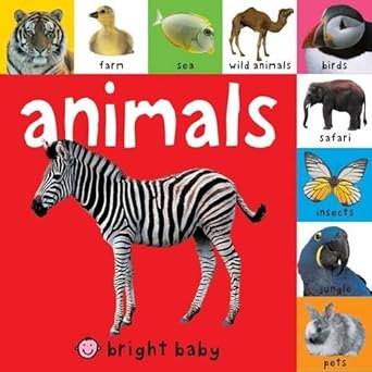 Animals: Wipe Clean Activity Flashcards cover image